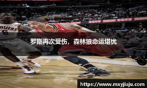 罗斯再次受伤，森林狼命运堪忧