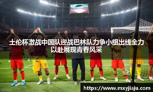 BoB半岛·体育中国官方网站