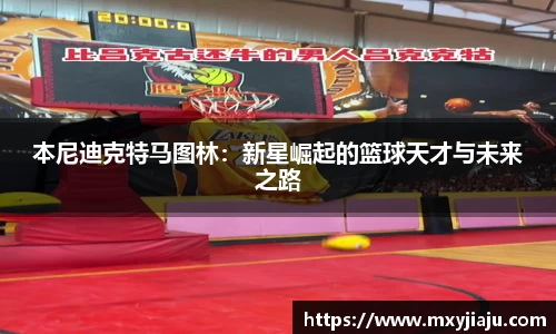 BoB半岛·体育中国官方网站