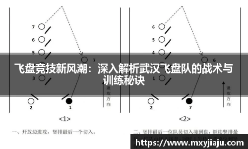 飞盘竞技新风潮：深入解析武汉飞盘队的战术与训练秘诀